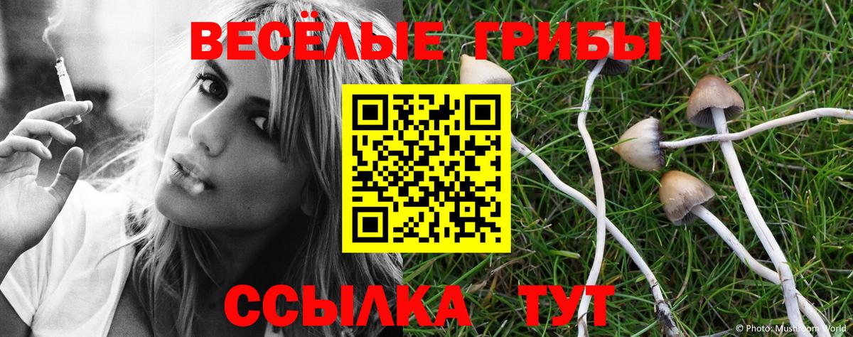 купить  цена  Вход с VPN  Моздок  Псилоцибиновые грибы Psilocybe 