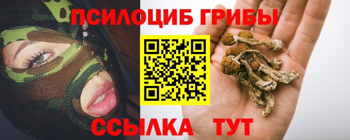 Псилоцибиновые грибы Magic Shrooms Моздок